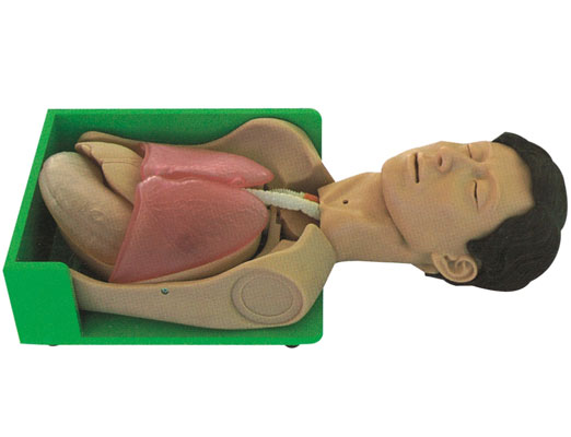 ͸ϴθθcp(bio)(zhn)